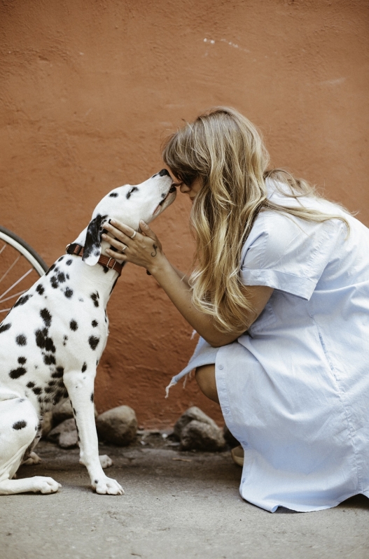 Vacina para Cães
