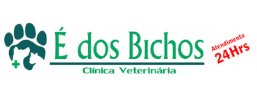 Clínica de Veterinário 24 Horas Vila Rica - Veterinário com Internação - SalvePet