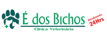 Consultas Veterinárias Cães Vila Formosa - Consulta Veterinária para Aves - SalvePet